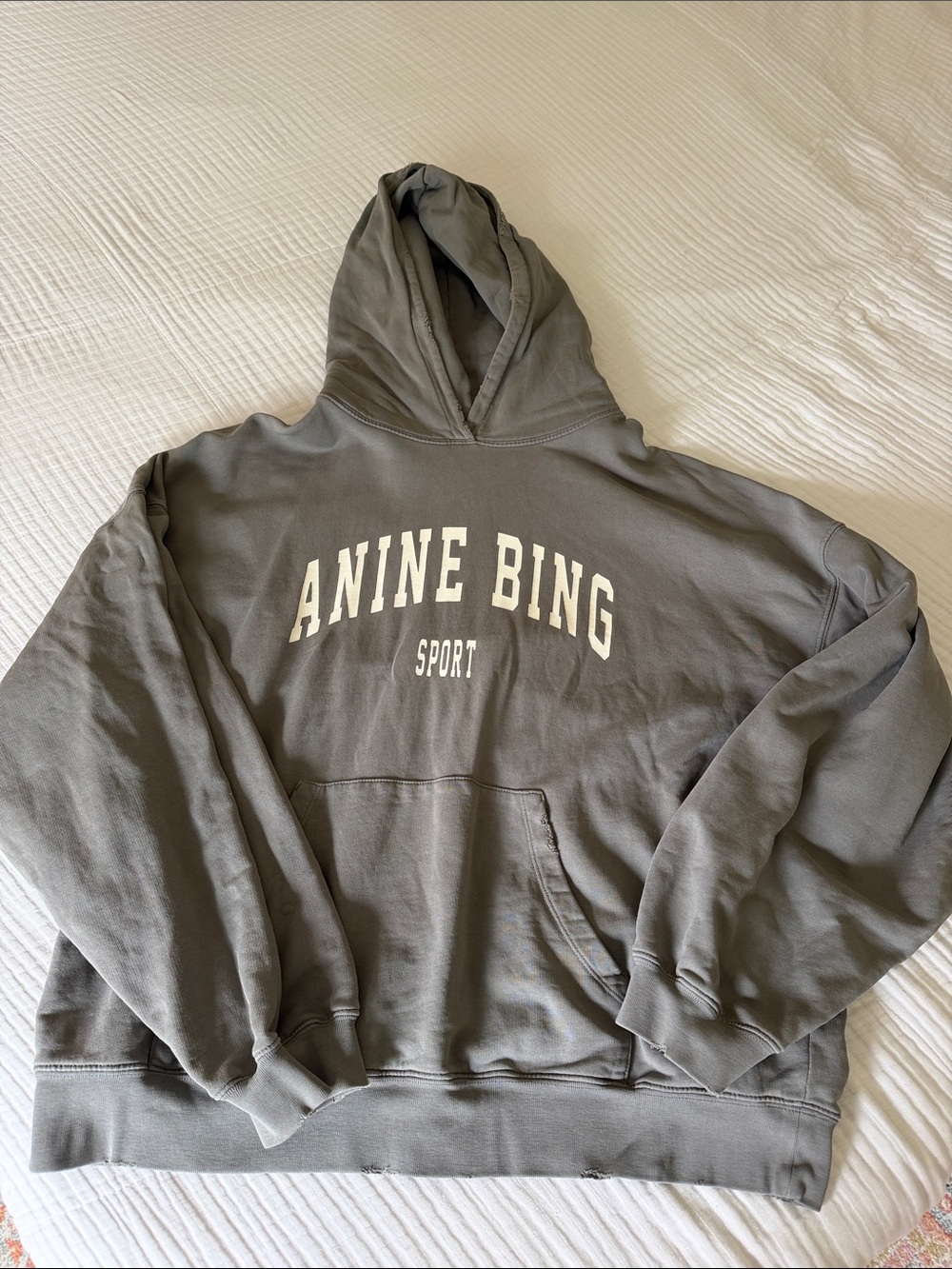 Anine Bing Hooded Sweatshirt - Harvey
